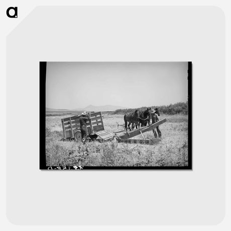 アートポストカード-Unloading the Ditcher
 - ラッセル リー Postcard.