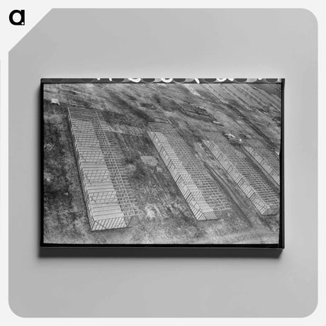 アートパネル-Migrant Camp, Sinton, Texas
 - ラッセル リー Canvas.