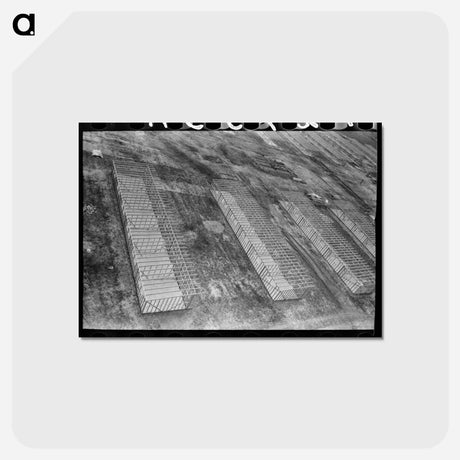 アートポストカード-Migrant Camp, Sinton, Texas
 - ラッセル リー Postcard.