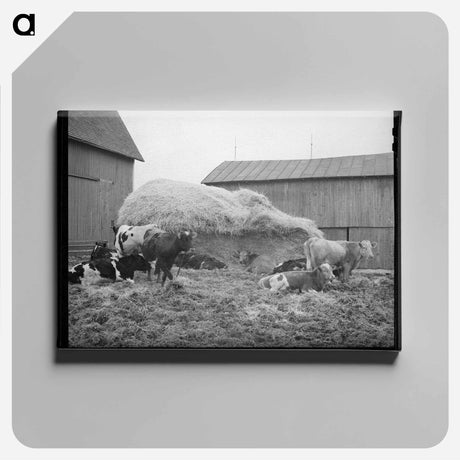 アートパネル-Barnyard Scene
 - ラッセル リー Canvas.