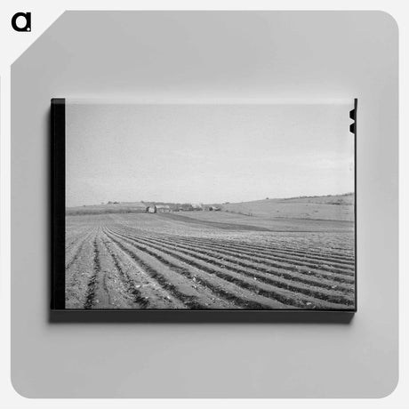 アートパネル-Bexar County Cotton Fields
 - ラッセル リー Canvas.