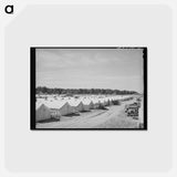 アートポストカード-FSA Migrant Camp
 - ラッセル リー Postcard.