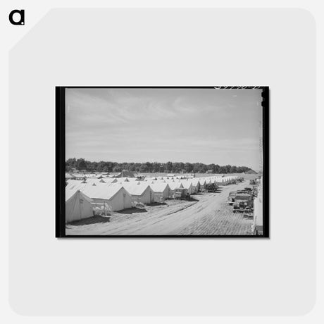 アートポストカード-FSA Migrant Camp
 - ラッセル リー Postcard.