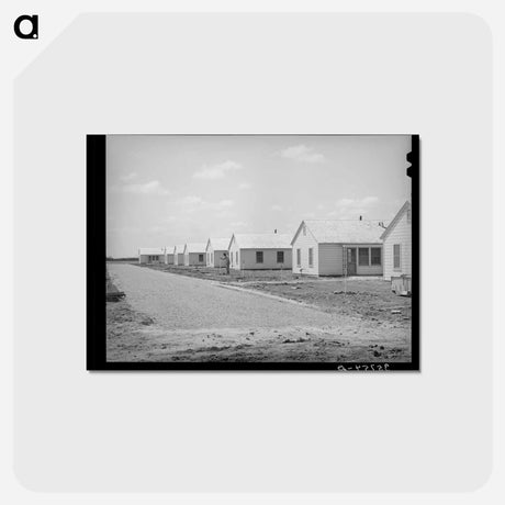 アートポストカード-Robstown Labor Camp Houses
 - ラッセル リー Postcard.