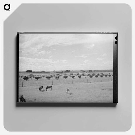 アートパネル-Canyon County Dairyland
 - ラッセル リー Canvas.