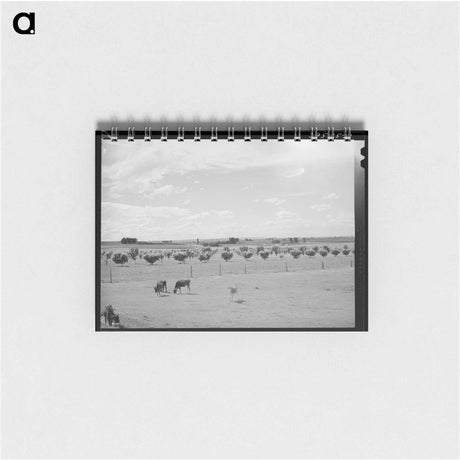 アートメモ帳-Canyon County Dairyland
 - ラッセル リー Memo.