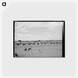 アートポストカード-Canyon County Dairyland
 - ラッセル リー Postcard.