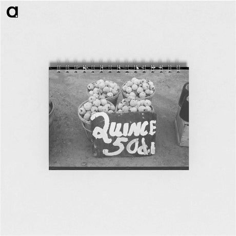 アートメモ帳-Quinces at Roadside Stand
 - ラッセル リー Memo.
