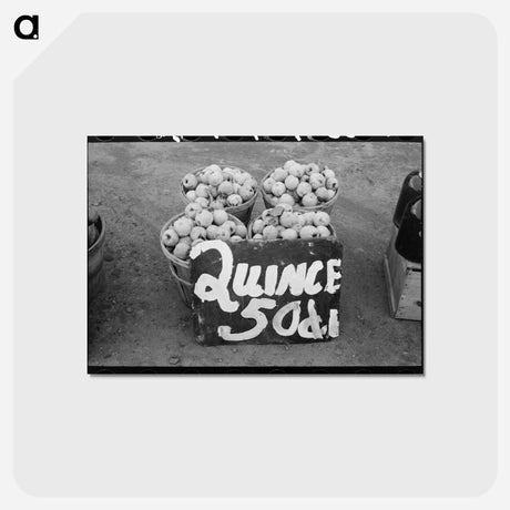 アートポストカード-Quinces at Roadside Stand
 - ラッセル リー Postcard.