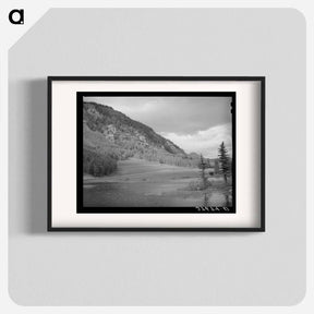 アートポスター-La Plata Mountain Meadows
 - ラッセル リー Poster.