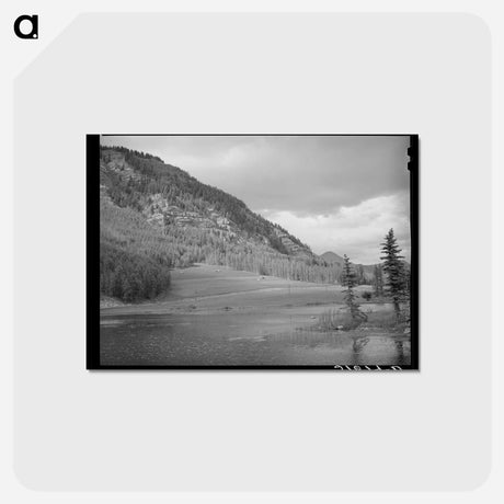 アートポストカード-La Plata Mountain Meadows
 - ラッセル リー Postcard.