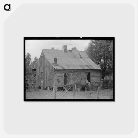 アートポストカード-Shack near Convent, Louisiana
 - ラッセル リー Postcard.