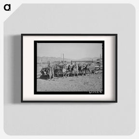 アートポスター-Herd of Dairy Cows
 - ラッセル リー Poster.