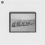 アートメモ帳-Herd of Dairy Cows
 - ラッセル リー Memo.