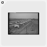 アートポストカード-Mineral King Cooperative Farm Houses
 - ラッセル リー Postcard.