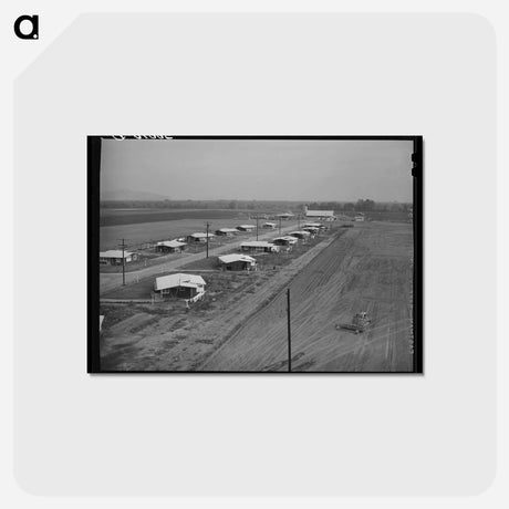 アートポストカード-Mineral King Cooperative Farm Houses
 - ラッセル リー Postcard.