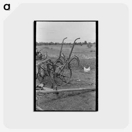 アートポストカード-Old Buggy, Daisy Field
 - ラッセル リー Postcard.