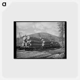 アートポストカード-Logs on Flatcar
 - ラッセル リー Postcard.