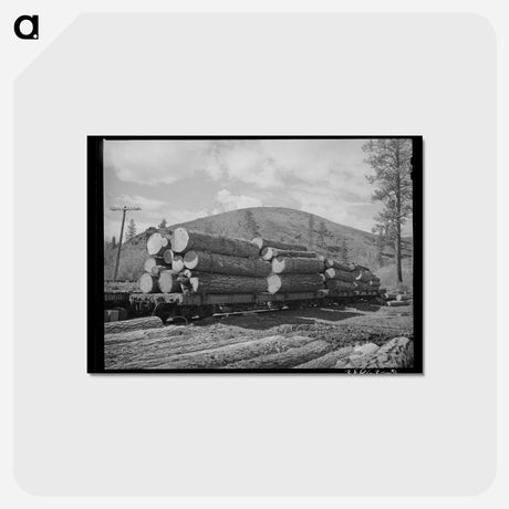 アートポストカード-Logs on Flatcar
 - ラッセル リー Postcard.