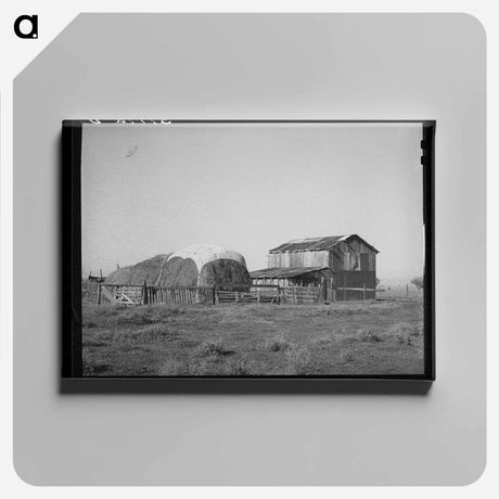 アートパネル-Jo Webster's Farm
 - ラッセル リー Canvas.
