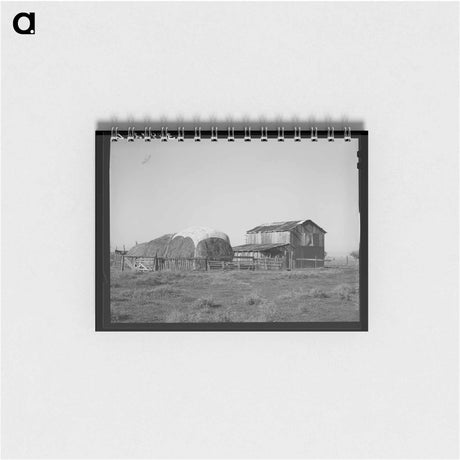 アートメモ帳-Jo Webster's Farm
 - ラッセル リー Memo.