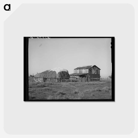アートポストカード-Jo Webster's Farm
 - ラッセル リー Postcard.