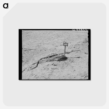 アートポストカード-Spanish-American Grave
 - ラッセル リー Postcard.