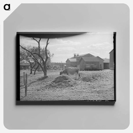 アートパネル-Cotton Gin Yard
 - ラッセル リー Canvas.