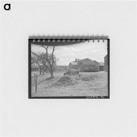 アートメモ帳-Cotton Gin Yard
 - ラッセル リー Memo.
