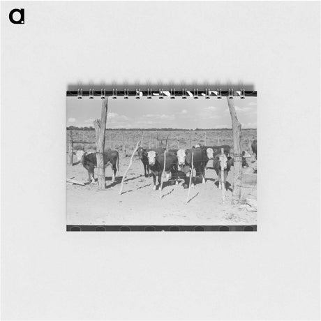 アートメモ帳-Beef Herd Calves
 - ラッセル リー Memo.