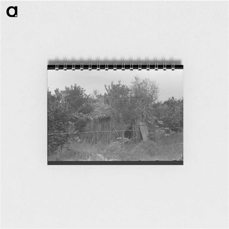 アートメモ帳-Church in the Orange Growing Section
 - ラッセル リー Memo.
