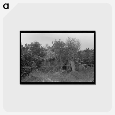 アートポストカード-Church in the Orange Growing Section
 - ラッセル リー Postcard.