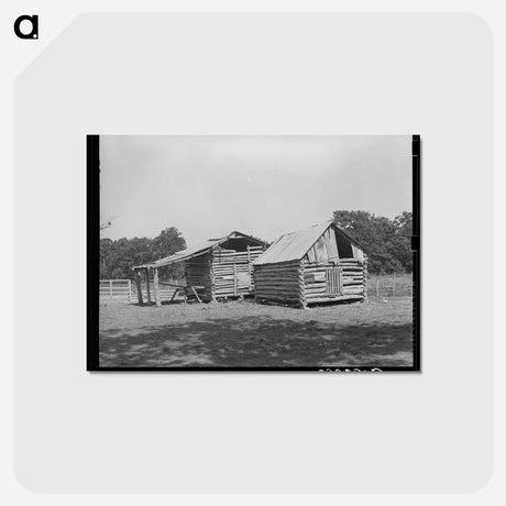 アートポストカード-White Tenant Farmer Barns
 - ラッセル リー Postcard.