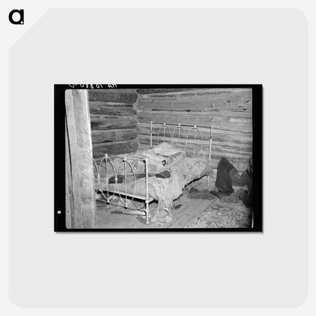 アートポストカード-Cut-Over Farmer's Bed
 - ラッセル リー Postcard.