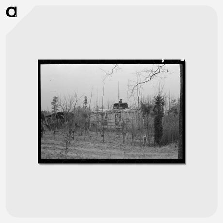 アートポストカード-Farmhouse and Yard, New Jersey
 - ラッセル リー Postcard.