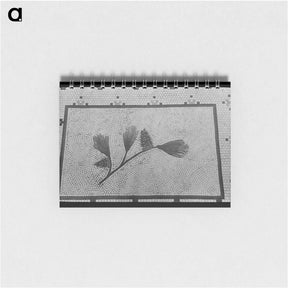 アートメモ帳-First National Bank Tile
 - ラッセル リー Memo.