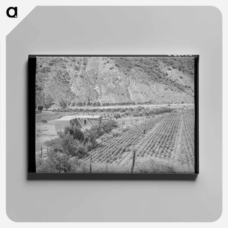 アートパネル-Adobe House and Chili Field
 - ラッセル リー Canvas.