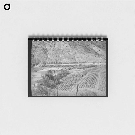 アートメモ帳-Adobe House and Chili Field
 - ラッセル リー Memo.