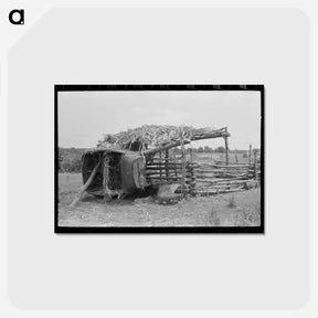 アートポストカード-Hogpen of Wagoner County
 - ラッセル リー Postcard.