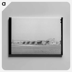 アートパネル-Refugio County Farmhouses
 - ラッセル リー Canvas.