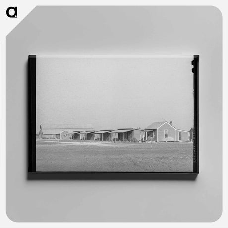 アートパネル-Refugio County Farmhouses
 - ラッセル リー Canvas.