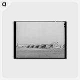 アートポストカード-Refugio County Farmhouses
 - ラッセル リー Postcard.