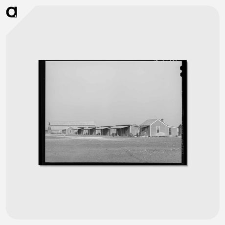 アートポストカード-Refugio County Farmhouses
 - ラッセル リー Postcard.
