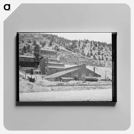 アートパネル-Remains of Gold Mill, Idaho Springs
 - ラッセル リー Canvas.
