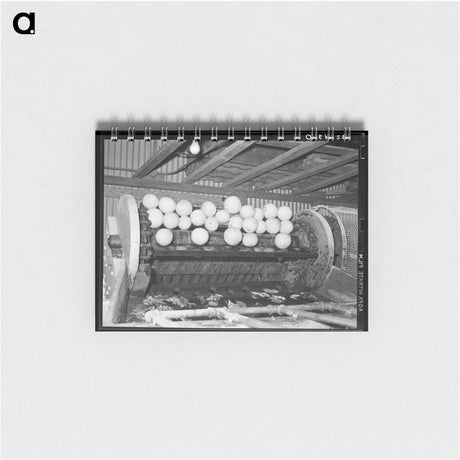 アートメモ帳-Grapefruit Scrubbing Machine
 - ラッセル リー Memo.