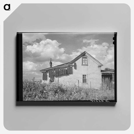 アートパネル-Adobe House with Chili Peppers
 - ラッセル リー Canvas.