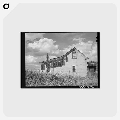 アートポストカード-Adobe House with Chili Peppers
 - ラッセル リー Postcard.