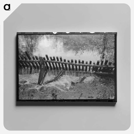 アートパネル-Salmon Hatchery Trap
 - ラッセル リー Canvas.