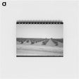 アートメモ帳-Citrus Orchard, Maricopa County
 - ラッセル リー Memo.
