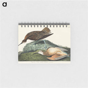 アートメモ帳-Esquimaux Curlew
 - ジョン ジェームス オーデュボン Memo.